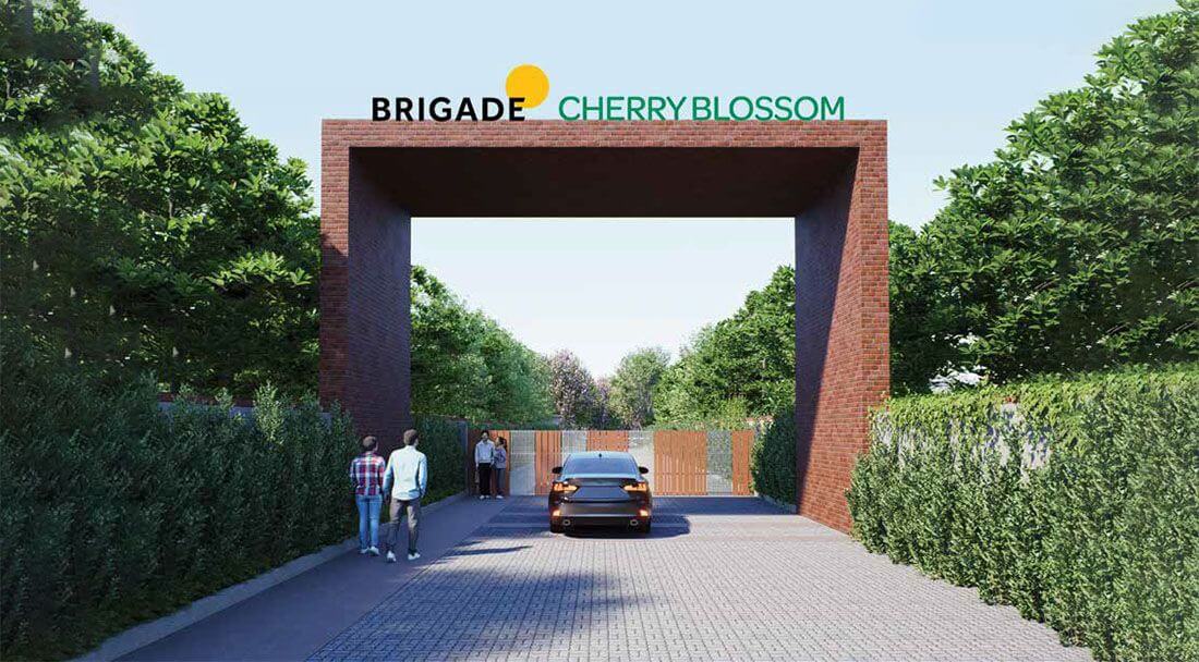 Brigade Cherry Blossom
